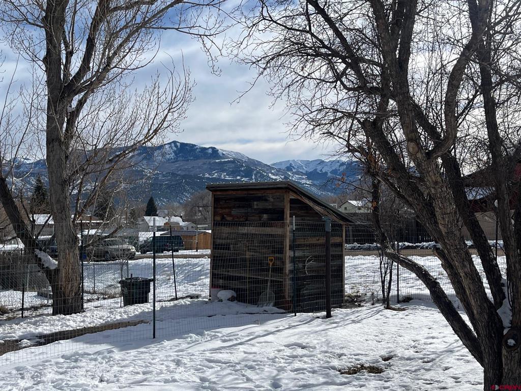 214 N Amelia Street Ridgway CO 81432