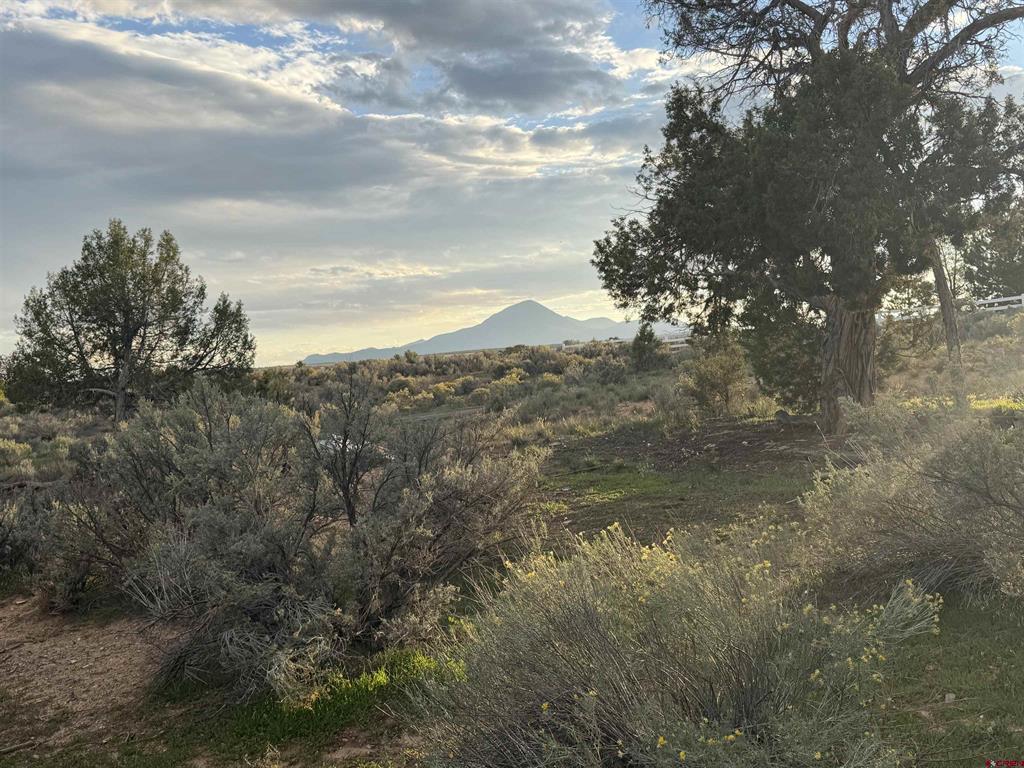 13557 Road 22 Cortez CO 81328