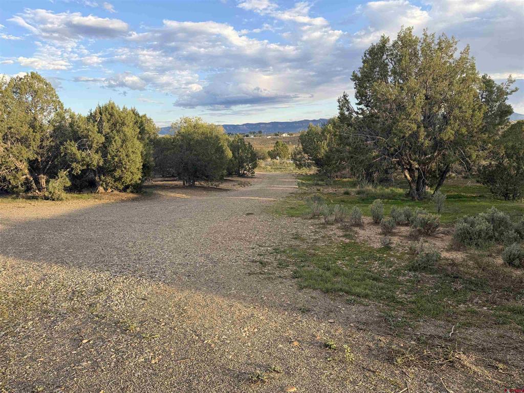 13557 Road 22 Cortez CO 81328
