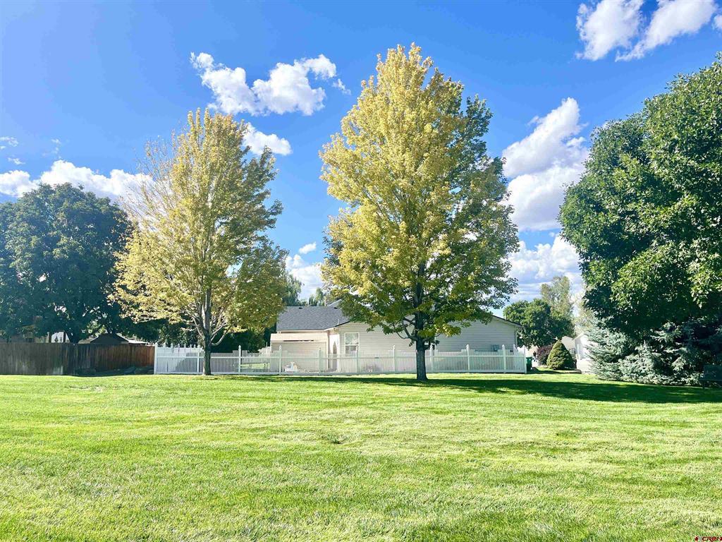 1883 Biron Road Montrose CO 81401