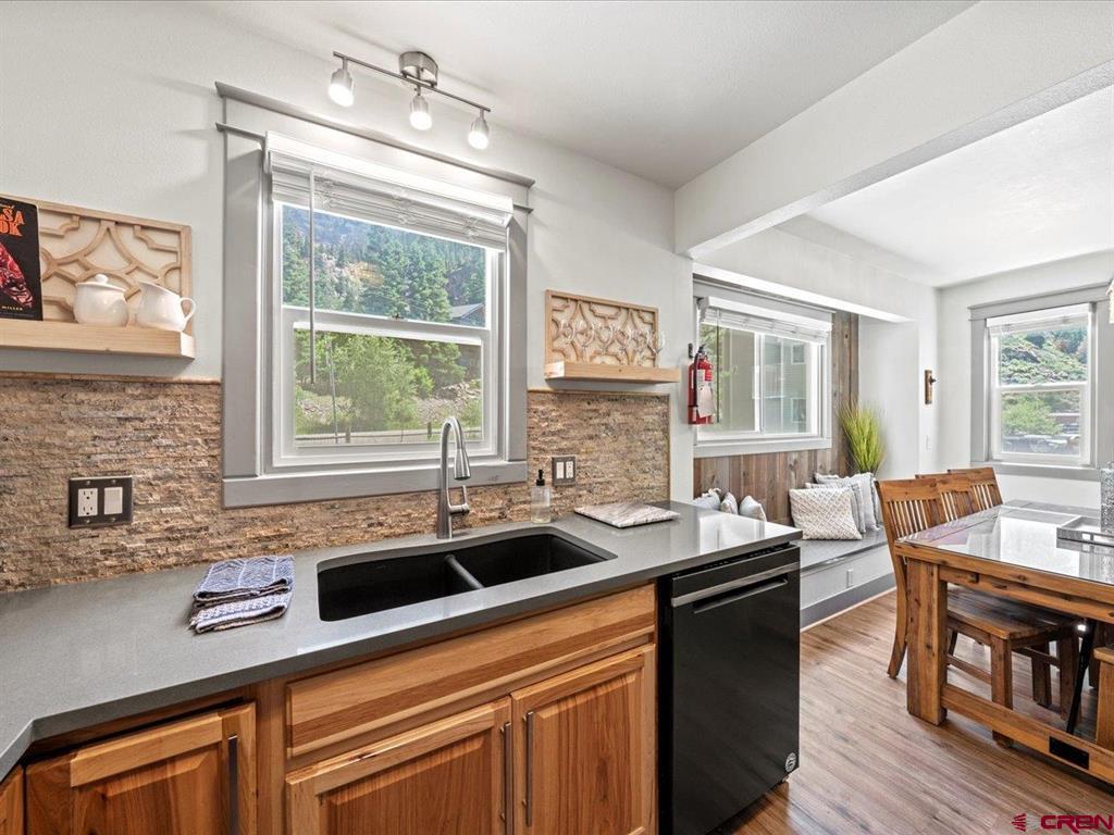 1254 Champ Lane Ouray CO 81427