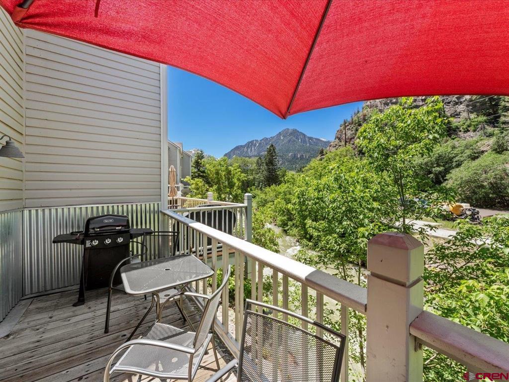 1254 Champ Lane Ouray CO 81427