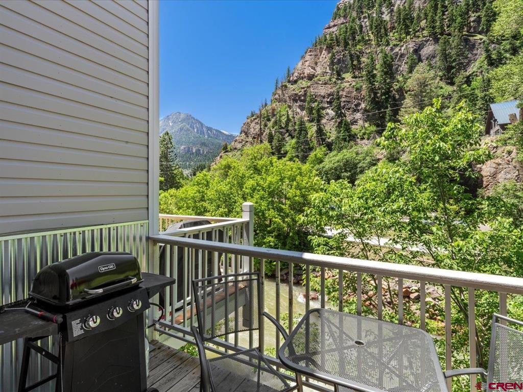 1254 Champ Lane Ouray CO 81427