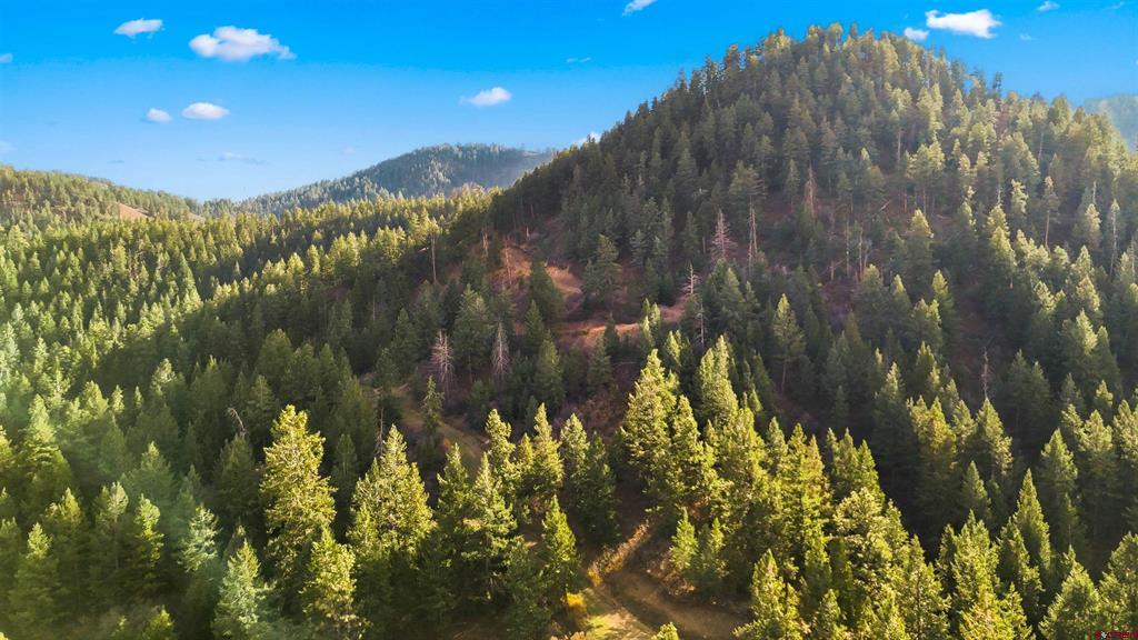 386 Linda Vista Pagosa Springs CO 81147