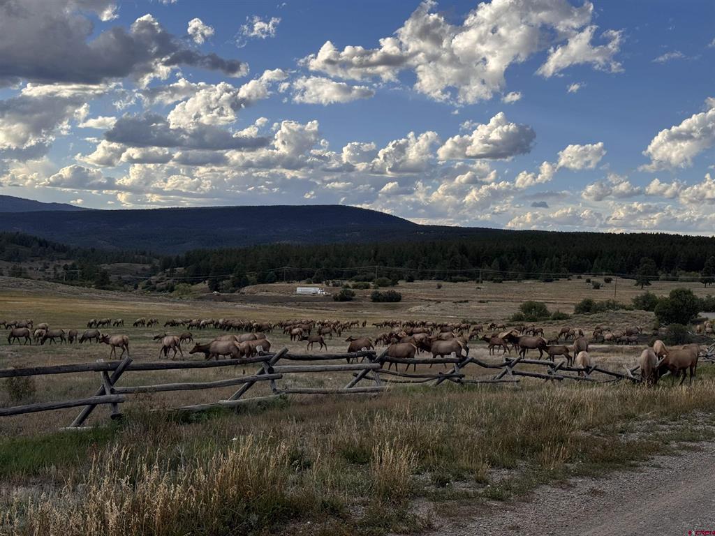 386 Linda Vista Pagosa Springs CO 81147