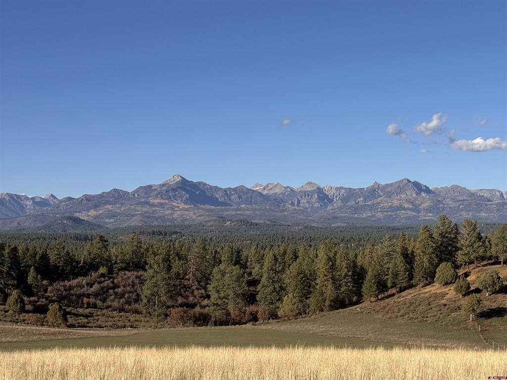 386 Linda Vista Pagosa Springs CO 81147