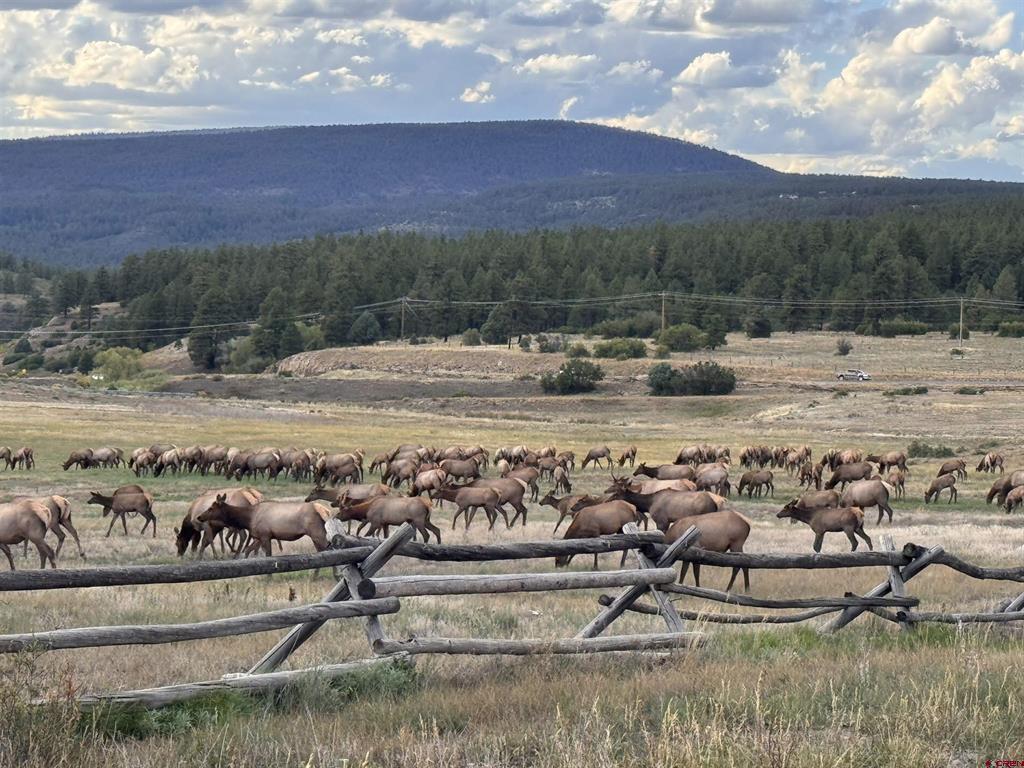 386 Linda Vista Pagosa Springs CO 81147