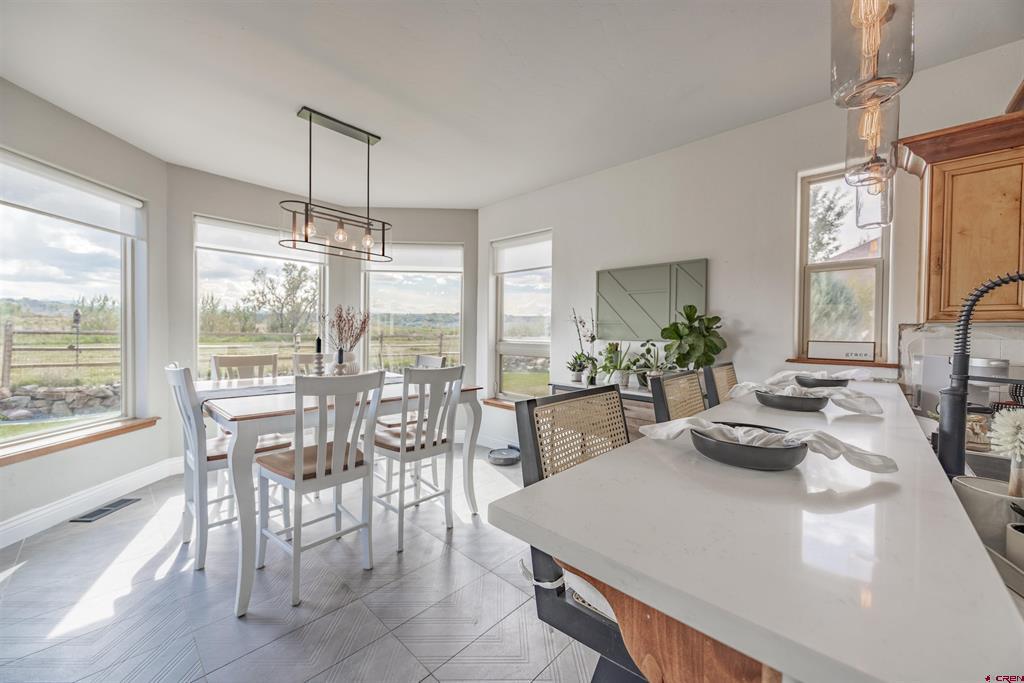 463 Cobble Drive Montrose CO 81403