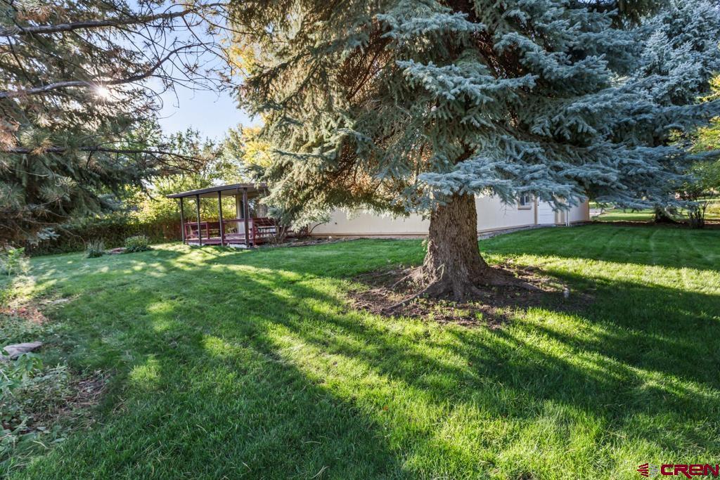 66105 Juniper Court Montrose CO 81403