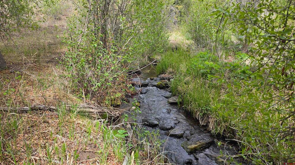 23 Bear Cub Hollow South Fork CO 81154