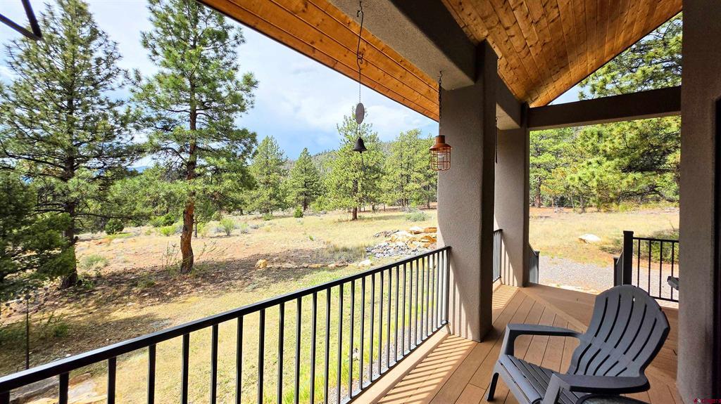 23 Bear Cub Hollow South Fork CO 81154