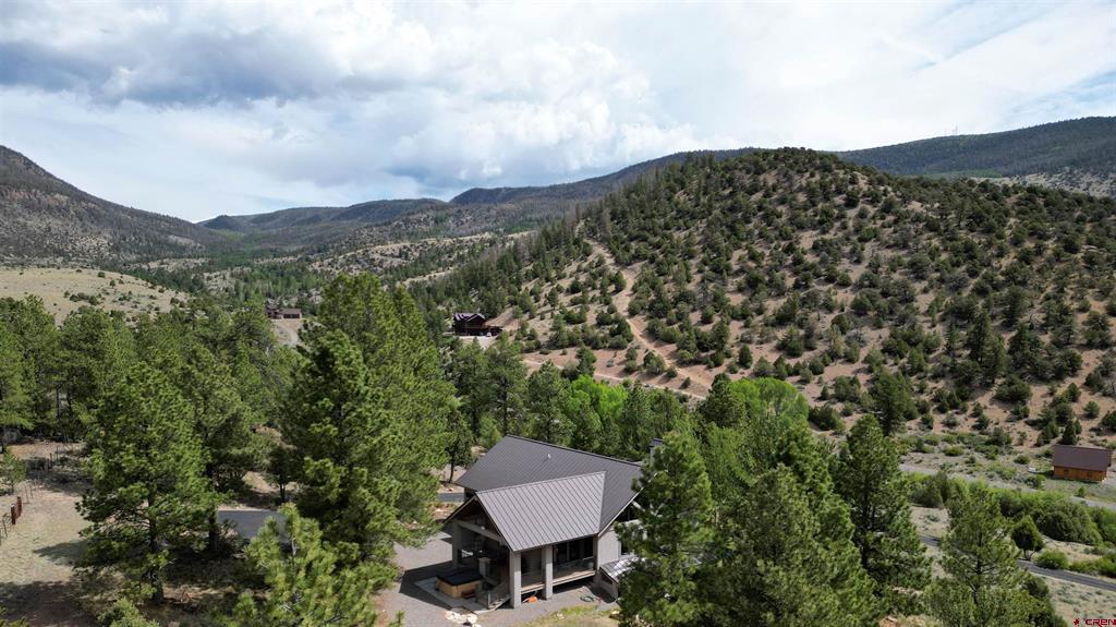 23 Bear Cub Hollow South Fork CO 81154
