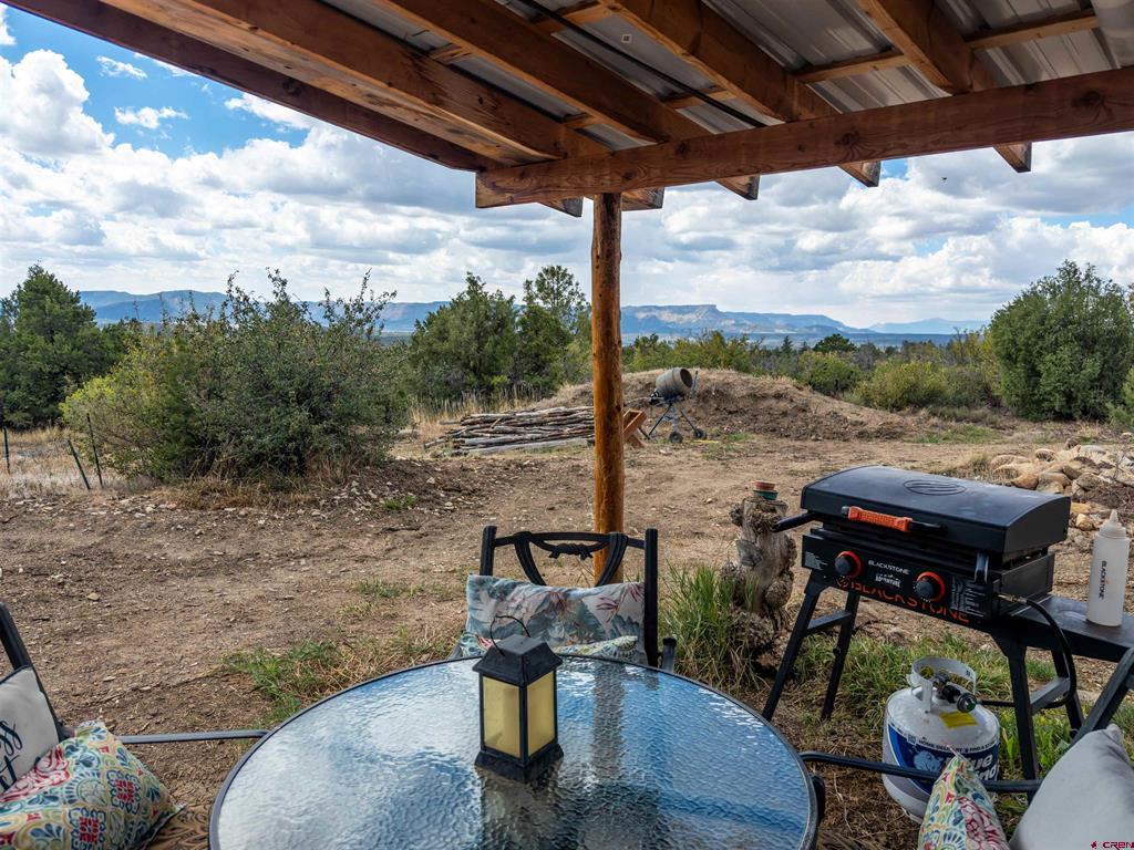 12807 Road 41.9 Mancos CO 81328