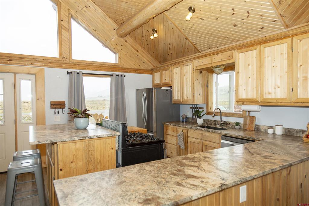 478 Homestake Drive Creede CO 81130
