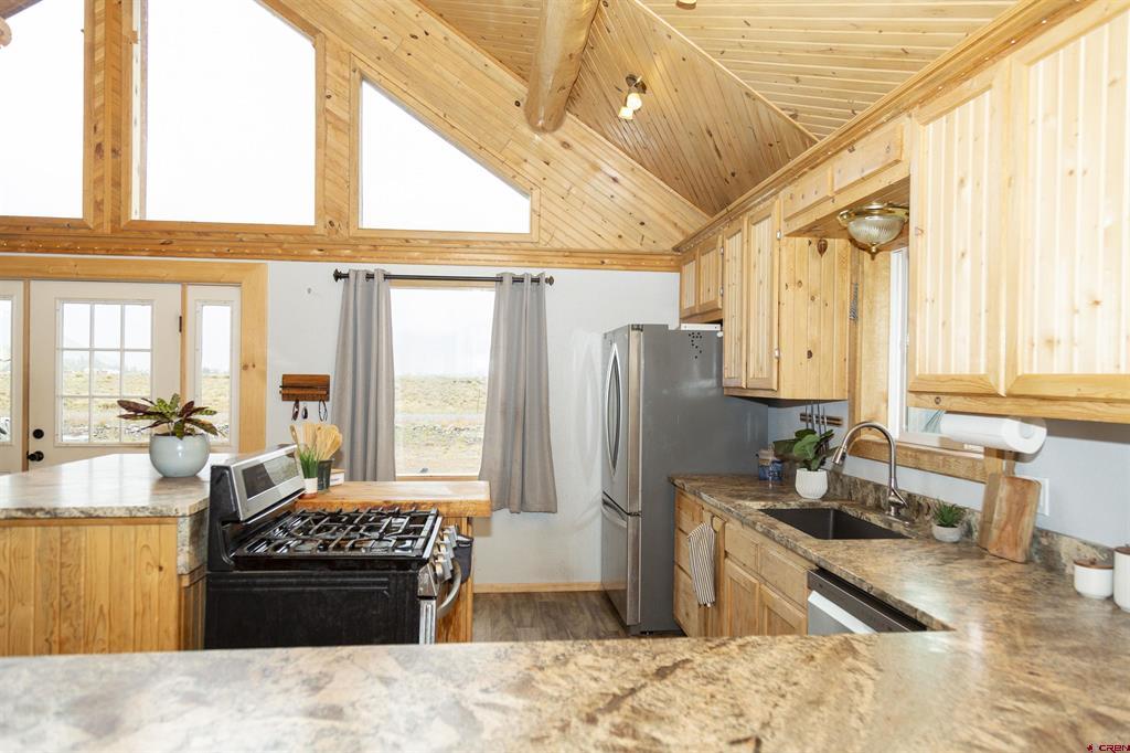 478 Homestake Drive Creede CO 81130