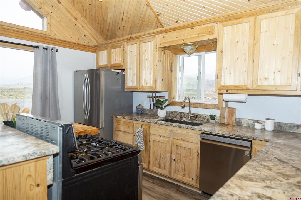 478 Homestake Drive Creede CO 81130