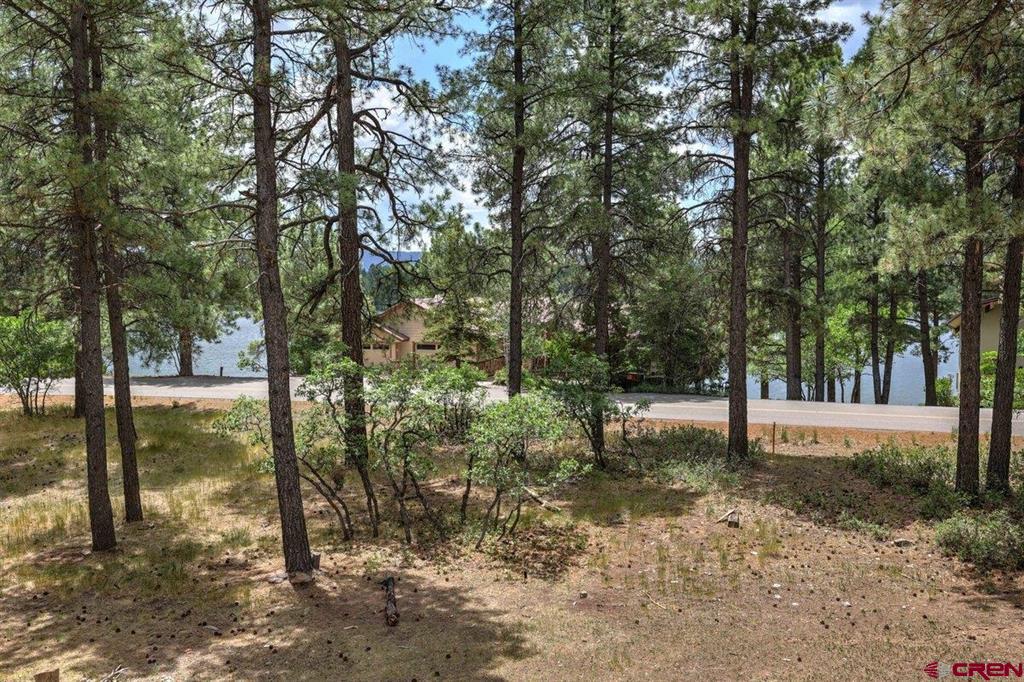 46 Carefree Place Pagosa Springs CO 81147
