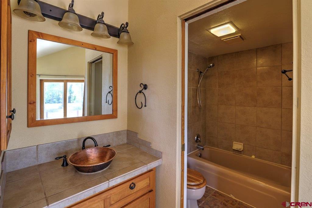 46 Carefree Place Pagosa Springs CO 81147