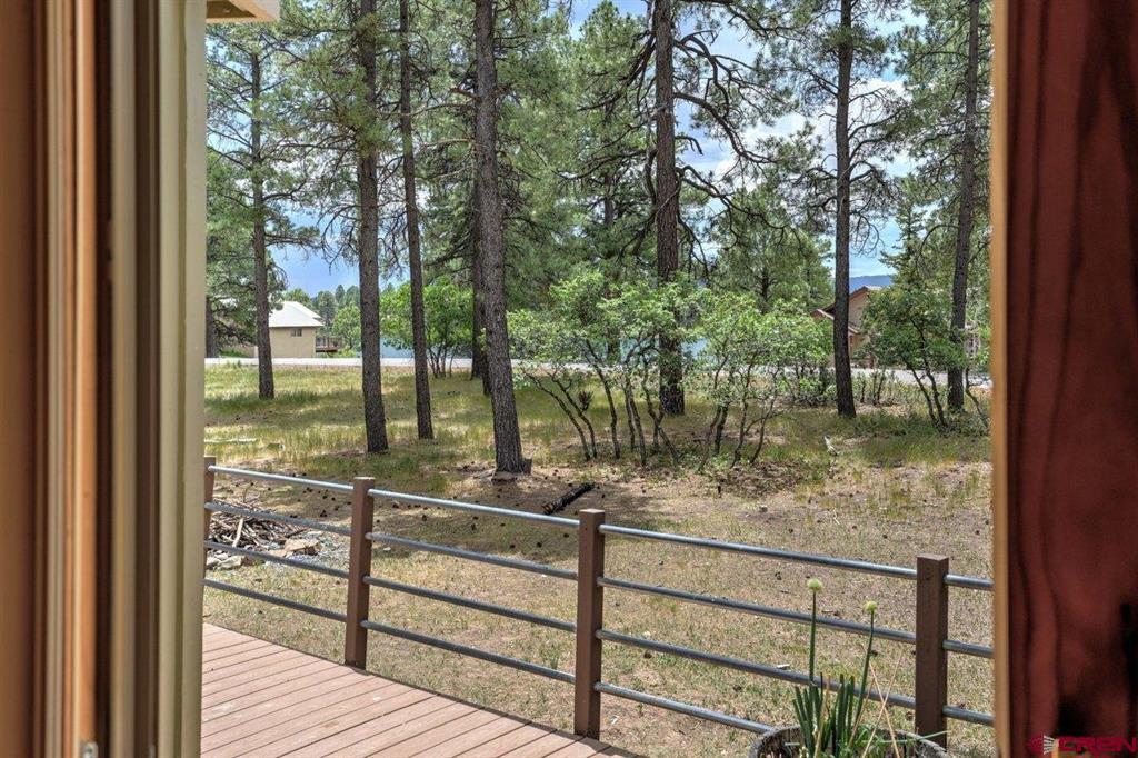 46 Carefree Place Pagosa Springs CO 81147