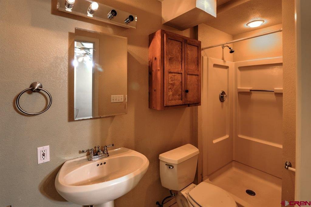 46 Carefree Place Pagosa Springs CO 81147