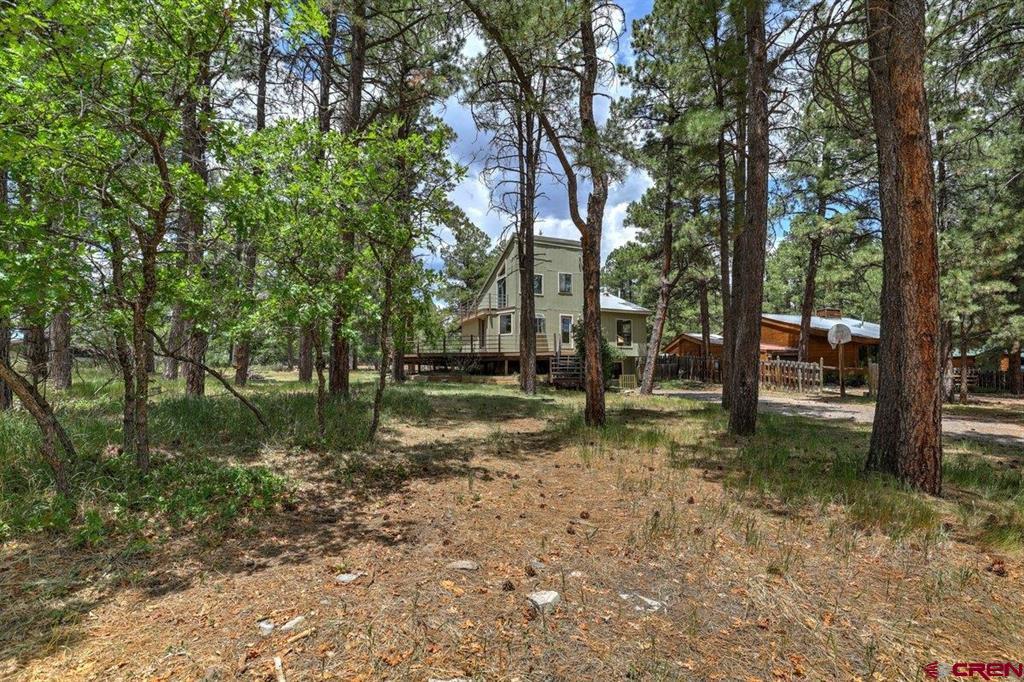 46 Carefree Place Pagosa Springs CO 81147