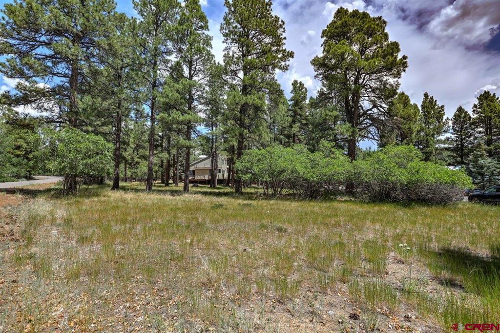 46 Carefree Place Pagosa Springs CO 81147