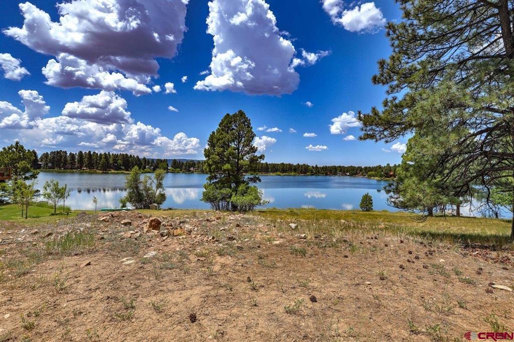 46 Carefree Place Pagosa Springs CO 81147