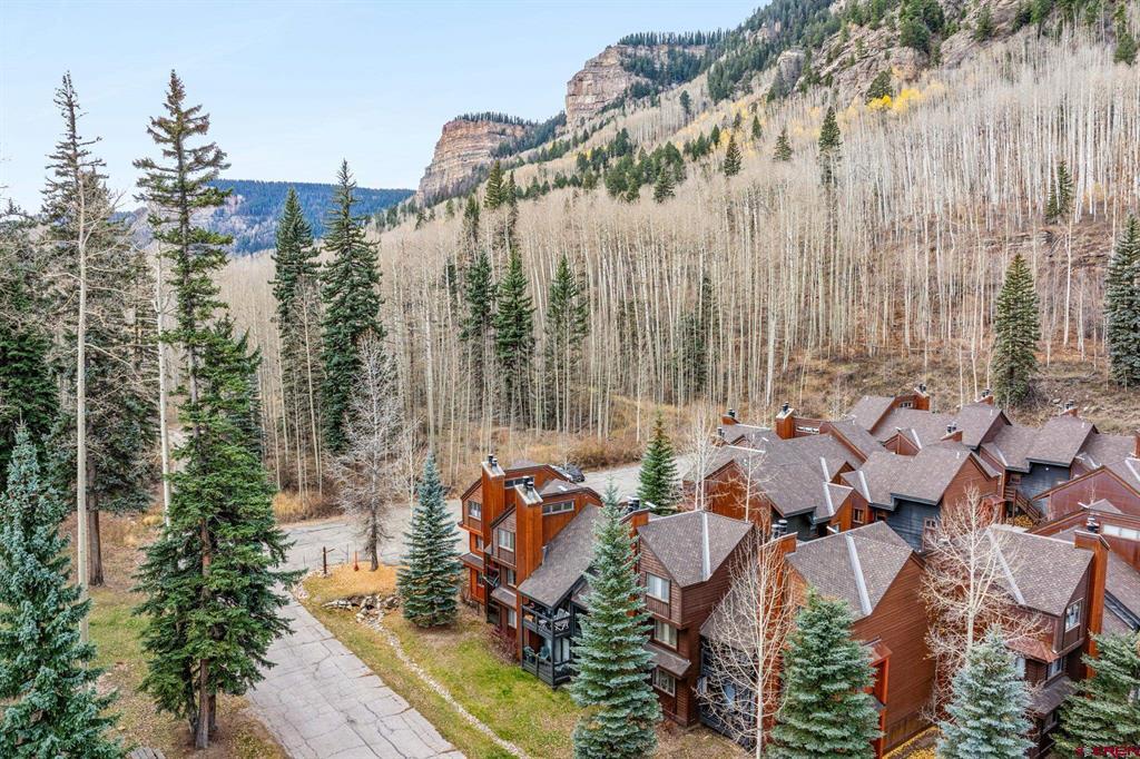 166 Yankee Girl Court Durango CO 81301