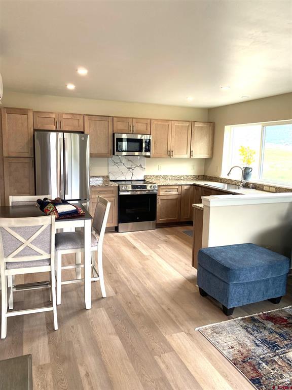 244 Redcliff Drive Ridgway CO 81432
