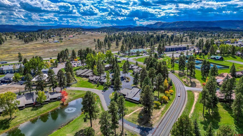 217 Pinon Causeway Pagosa Springs CO 81147
