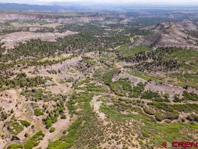 1350 Lion Road Durango CO 81303