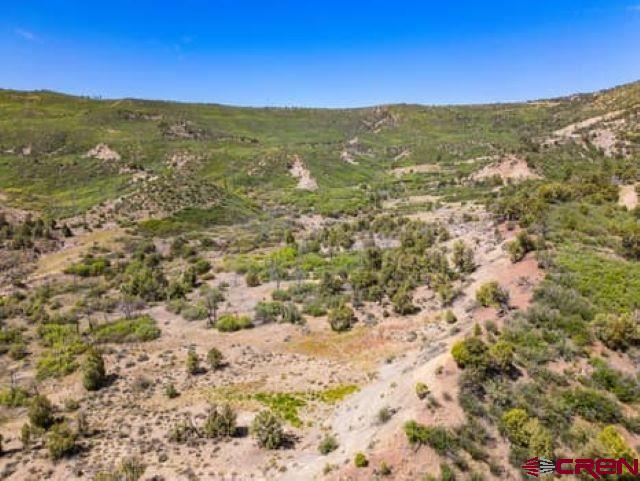 1350 Lion Road Durango CO 81303