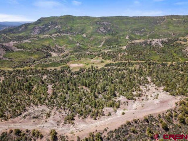 1350 Lion Road Durango CO 81303
