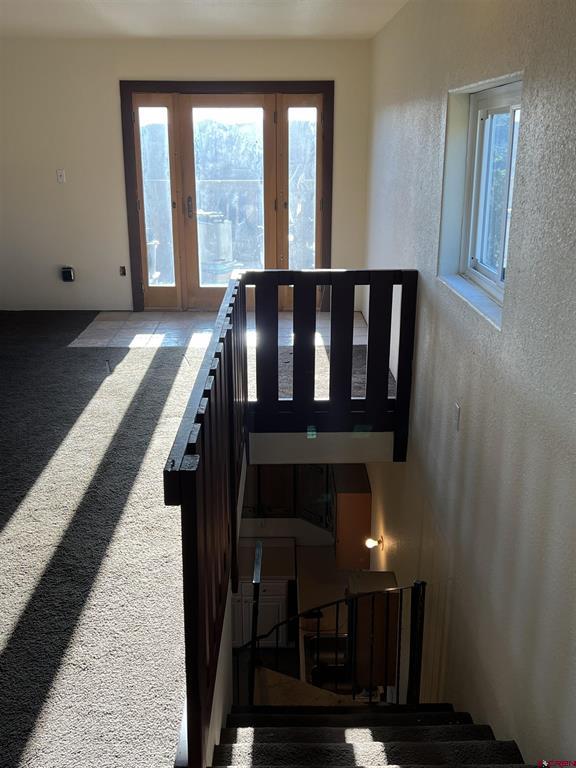 1350 Lion Road Durango CO 81303
