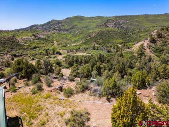 1350 Lion Road Durango CO 81303