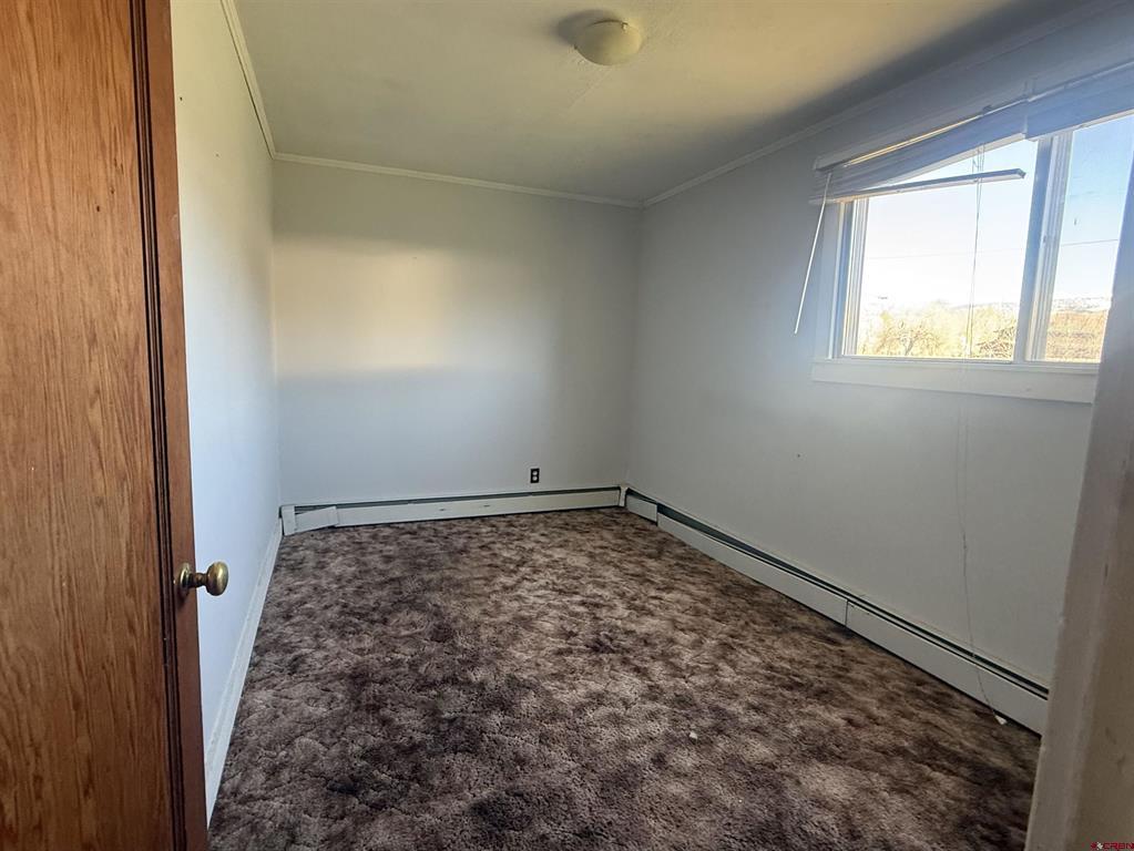 319 E 1st Street Mancos CO 81328