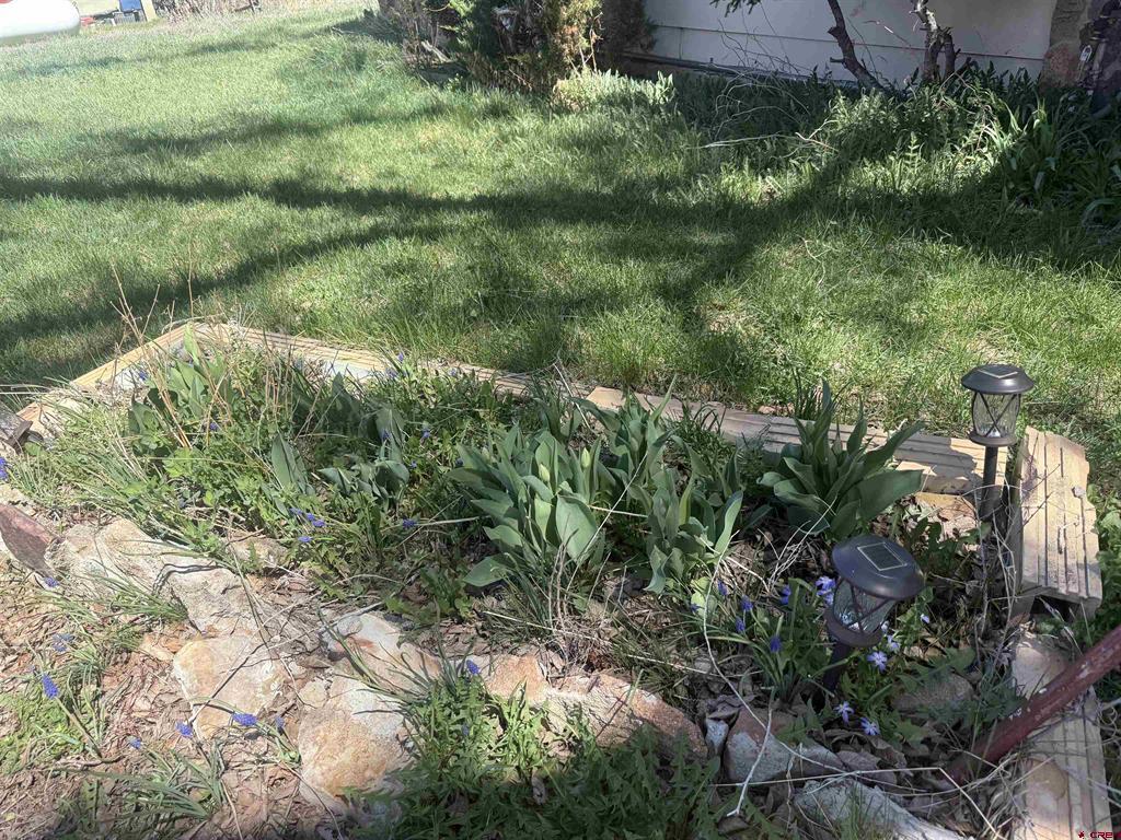 319 E 1st Street Mancos CO 81328