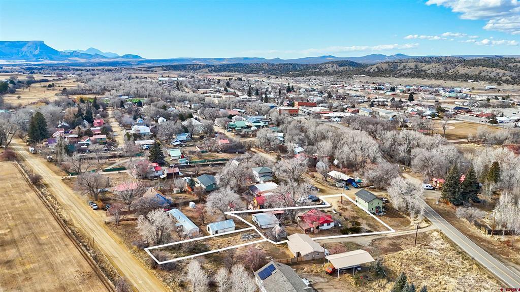 319 E 1st Street Mancos CO 81328