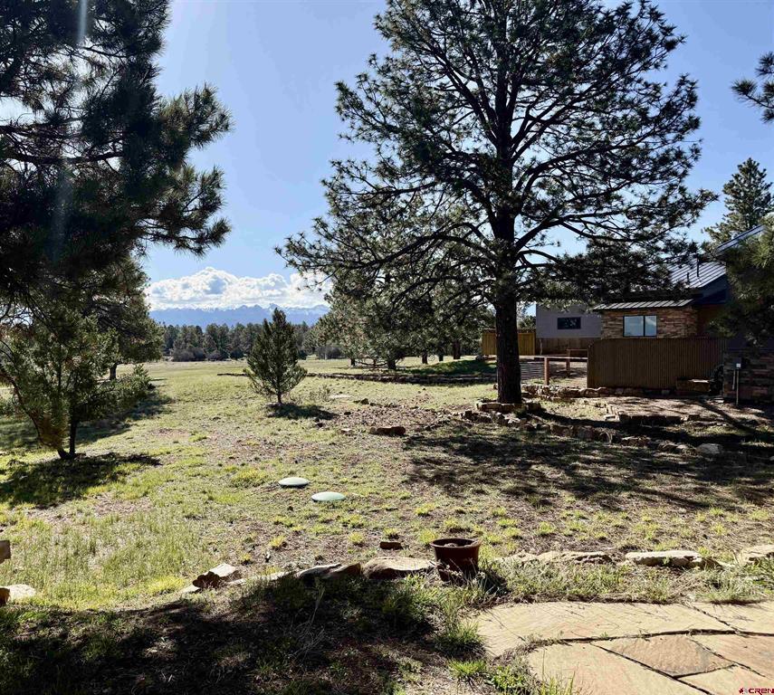 592 S Badger Trail Ridgway CO 81432