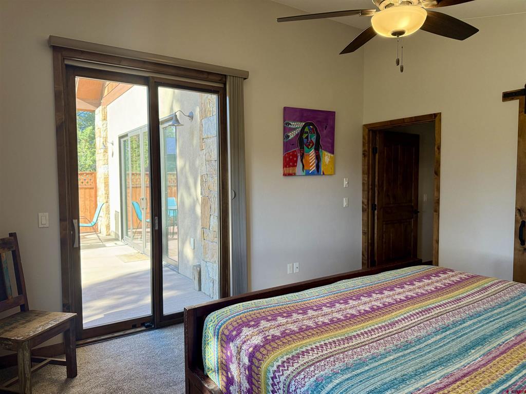 592 S Badger Trail Ridgway CO 81432