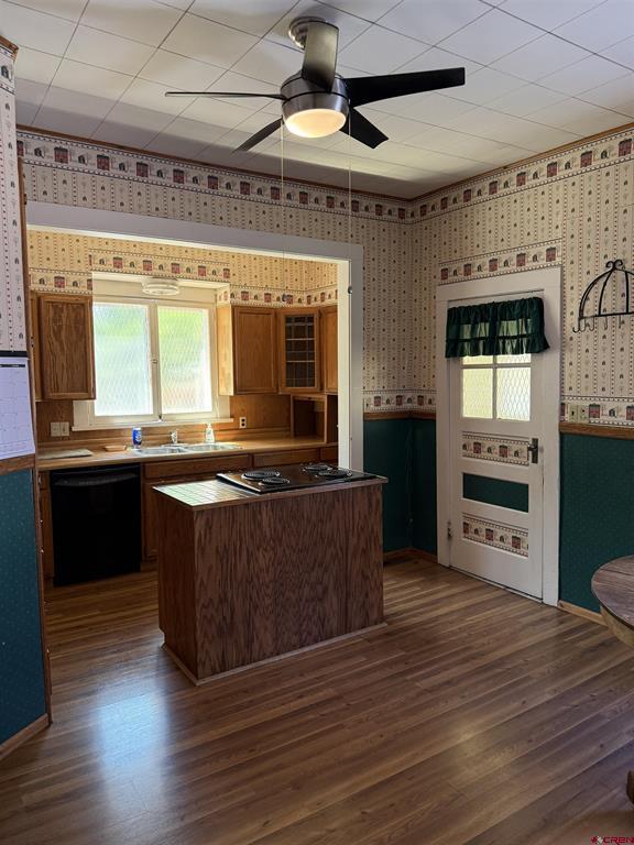 447 S 9th Street Montrose CO 81401