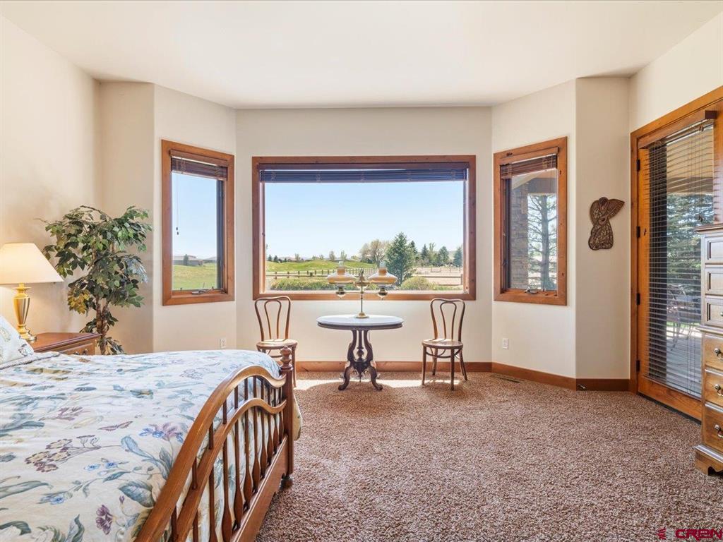 816 Courthouse Peak Lane Montrose CO 81403