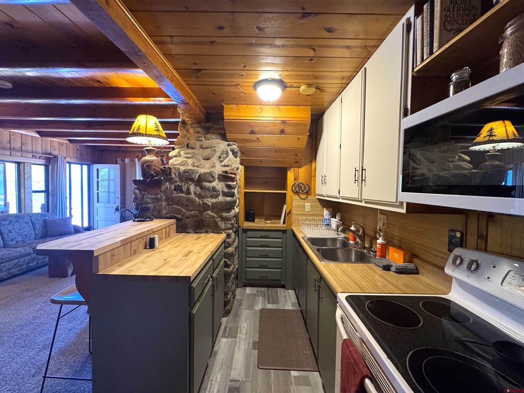 14564 Cr 501 Vallecito Lake/bayfield CO 81122
