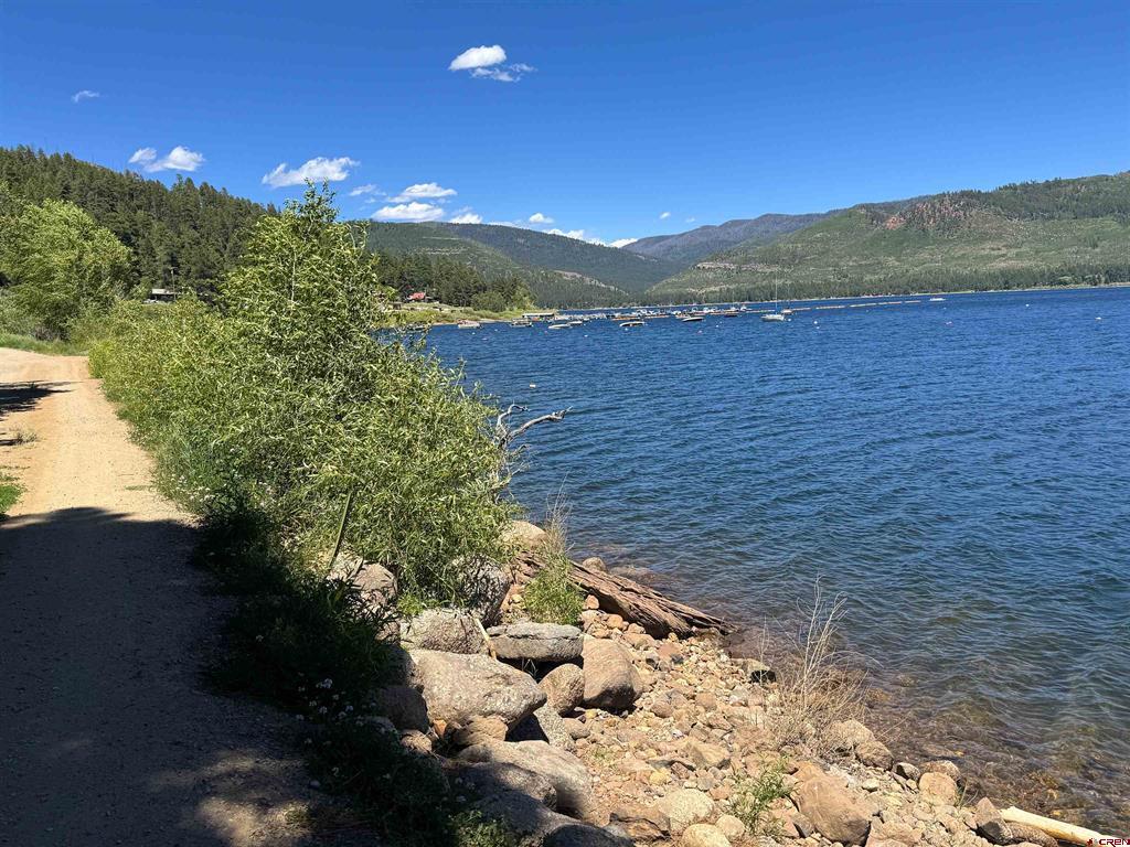 14564 Cr 501 Vallecito Lake/bayfield CO 81122