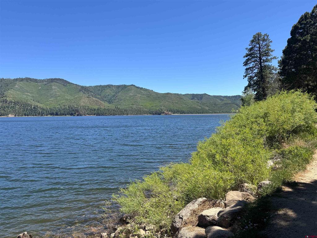 14564 Cr 501 Vallecito Lake/bayfield CO 81122