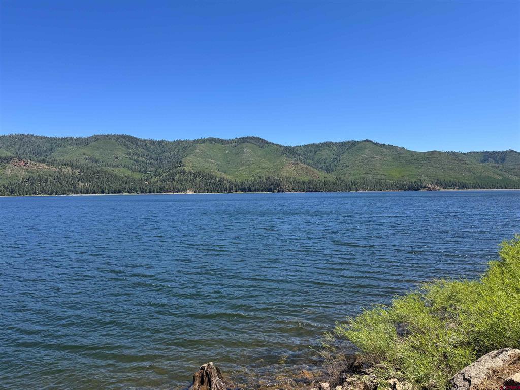 14564 Cr 501 Vallecito Lake/bayfield CO 81122