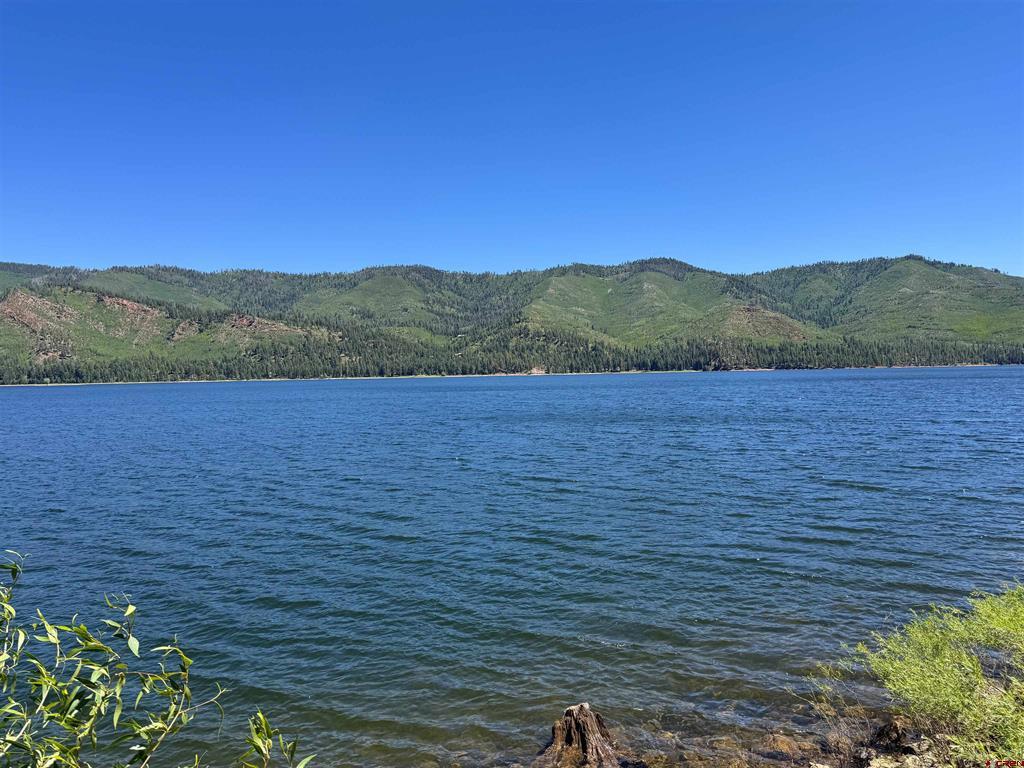 14564 Cr 501 Vallecito Lake/bayfield CO 81122