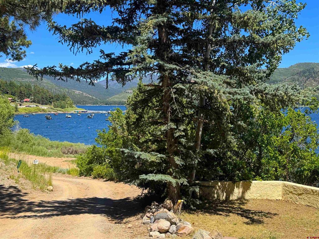 14564 Cr 501 Vallecito Lake/bayfield CO 81122