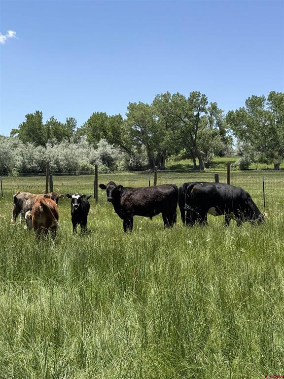 12626 Road 25 Cortez CO 81321