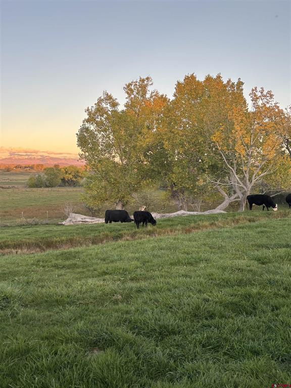 12626 Road 25 Cortez CO 81321